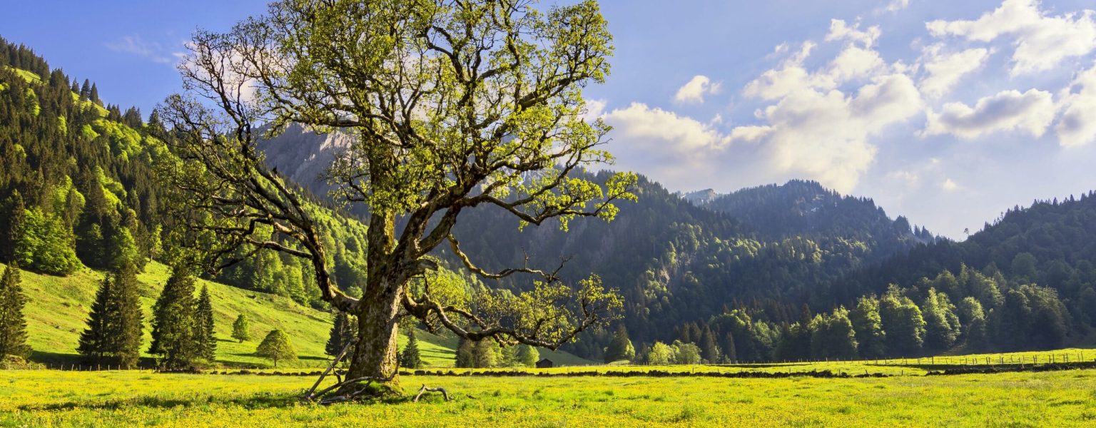 A view of the Alpine landscape near Gunzesried in Bavaria, Germany captured during the daytime